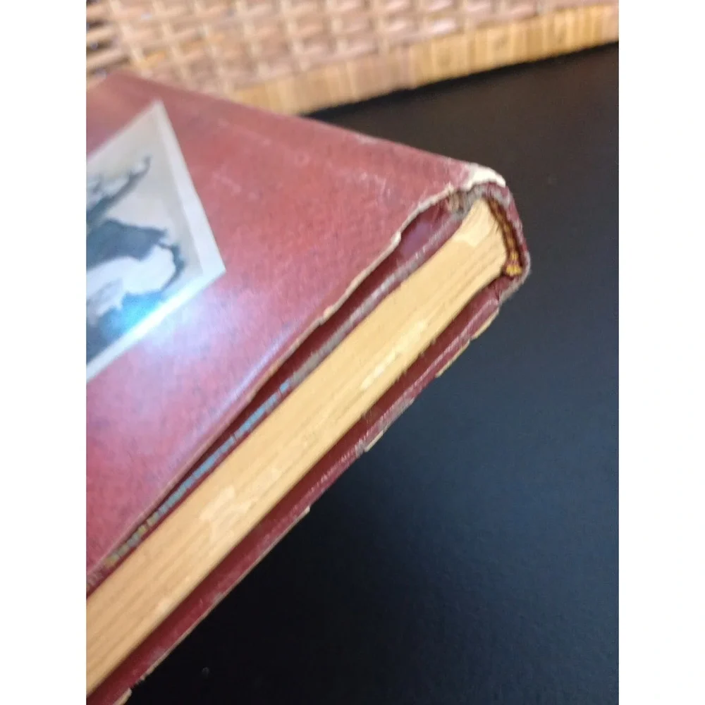 Life After Doomsday Bruce D. Clayton 1980‎ First Edition  Survivalist Guide HC